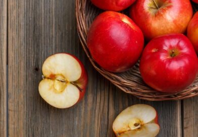 Duis congue magna id purus