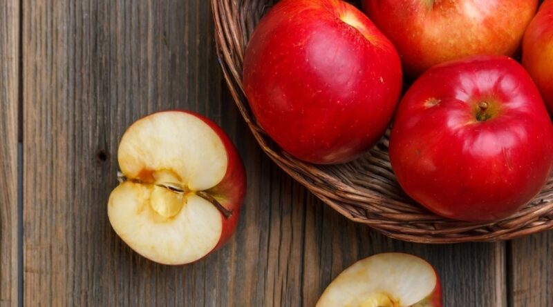 Duis congue magna id purus